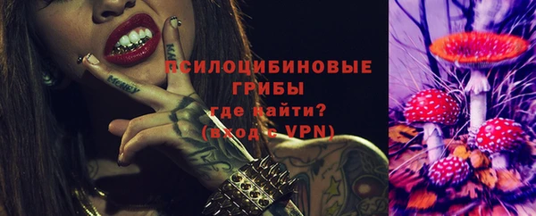 крисы Алексеевка