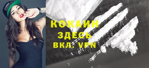 прущий лед Алзамай